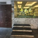 아나톨레 이미지