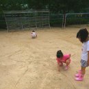 개금초등학교 이미지