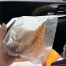 피브완 이미지
