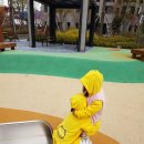 노랑병아리 이미지