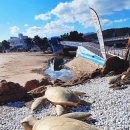 부흥해수욕장 이미지