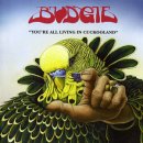 You're All Living in Cuckooland - Budgie 이미지