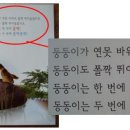 베베동동
