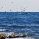 꾸스펜션 이미지