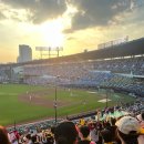 마킹 | 야구 유니폼 자수마킹 후기 엘지트윈스 마킹 작업의뢰 내돈내산