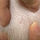 동대마트 이미지