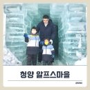 월드머쉬룸 영농조합법인 | 청양 알프스마을 얼음축제에서 아이와 썰매타고 즐기고 온 솔직후기!
