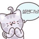 카페아미고 이미지