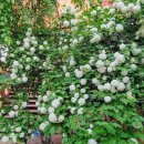 진량치과의원 이미지