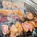 칼빈대학교 | 용인 마북동 조선갈매기 전설의 통갈매기살 맛집 20년 단골이 인정한 조선갈매기 이집은 찐이다