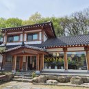 그리네 사바나 이미지