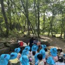 햇살나라유치원 이미지