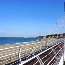 경주에서 보내는 가장 단순한 밤, 차박과 노지캠핑 명소 BEST 3 이미지