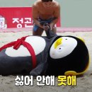 와이즈학원 이미지