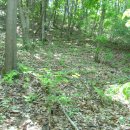 전원농장 이미지