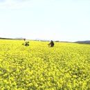 아가의집 이미지