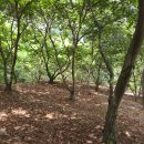 횡천면사무소 이미지