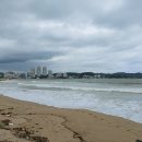 일광대복집 이미지