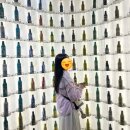 6월 칭다오 3박 4일 자유여행 후기👲🇨🇳