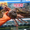 가야회수산 이미지