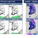 [오늘의 날씨] 서해안·남해안 오전 짙은 안개…오후 충청·경북 등 5~30mm 소나기 이미지