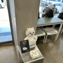 부산 해운대 해리단길 카페 주차장 애견동반 가능 오우야 에스프레소바