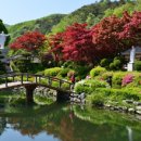 덕동달구지펜션 이미지