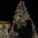 춘천 신북 카페 크리스마스 트리 가득한 &lt;유기농카페&gt; 방문후기🎄