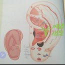 귀건강상담학 이미지