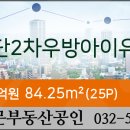 25시파랑새동물병원 네이버블로그
