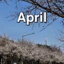 아이마루유치원 | 자여사의 4월 일상 일원동 마루공원, 삼척 봉황산, 맹방 유채꽃 축제, 롯데월드