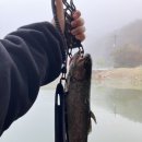 승안낚시터 이미지