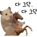 바다에 머무르다 이미지