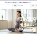 사하구청 | 사하구청 임산부 요가 프로그램 신청 후기 – 24주차 임산부