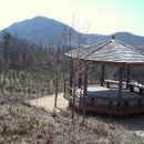 현일초교도로 이미지