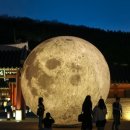 노래와 함께 배우는 미니기타 우쿨렐레(목)18:00(기초) | 아이와 함께 낮에는 체험하고 밤에는 성곽을 걷고 | 수원화성 여름방학 프로그램 총정리📝