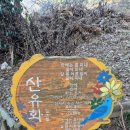 산에는꽃이피네 이미지