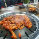 월척오리 이미지