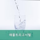 애플트리고시원