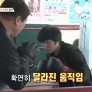 수년복싱체육관 이미지