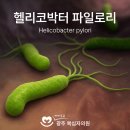 우리튼튼내과의원 네이버블로그