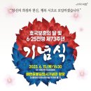음감아트 이미지