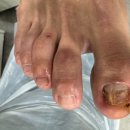 레푸스앤두두뷰티 이미지