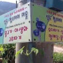 가산팜스테이 티스토리