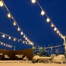 코지스테이 이미지