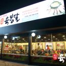 티아이코스모스 이미지