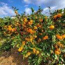 온세상유통 이미지