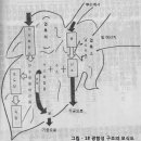 광선연구 제 381호 (1981년 2월 1일 발행) 이미지