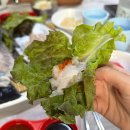 선창활어횟집 | 속초 회맛집 선창활어횟집 리얼후기