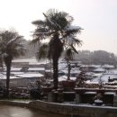 해제동초등학교 이미지